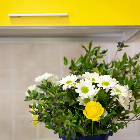 Simona Giardino Appartement Fetovaia